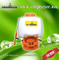 Electric Battery Sprayer (HX-25A)