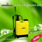 Knapsack Sprayer / Sprayer Pump (TF-12B)