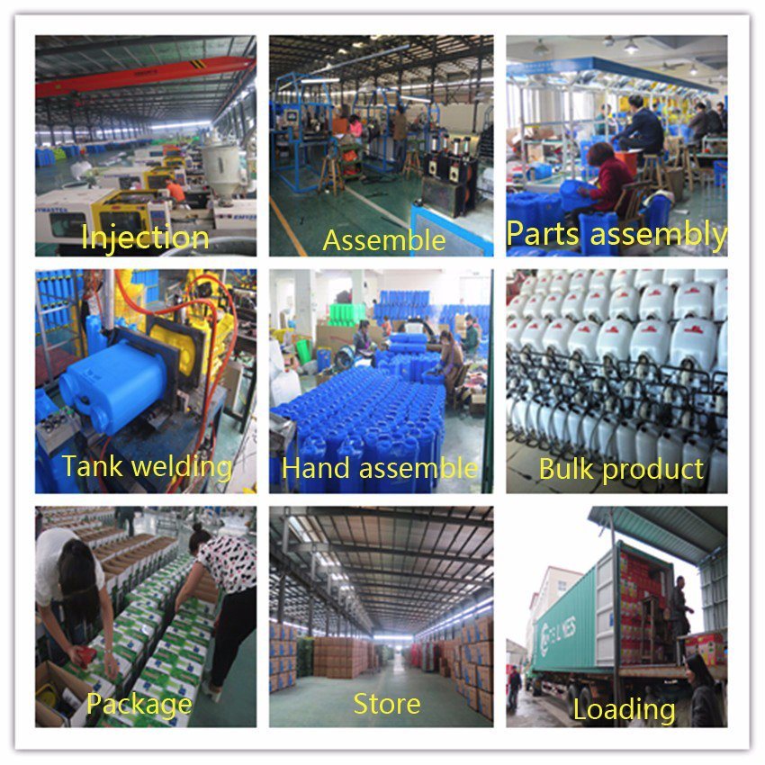 2018 New Two in One 18L Electric Knapsack Sprayer for Agriculture/Garden/Home (BS812D)