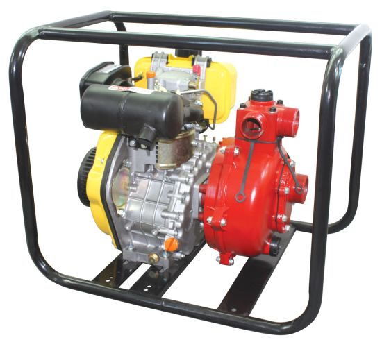 Agricultural/Industrial Water Pump with ISO9001 (DHP-20)
