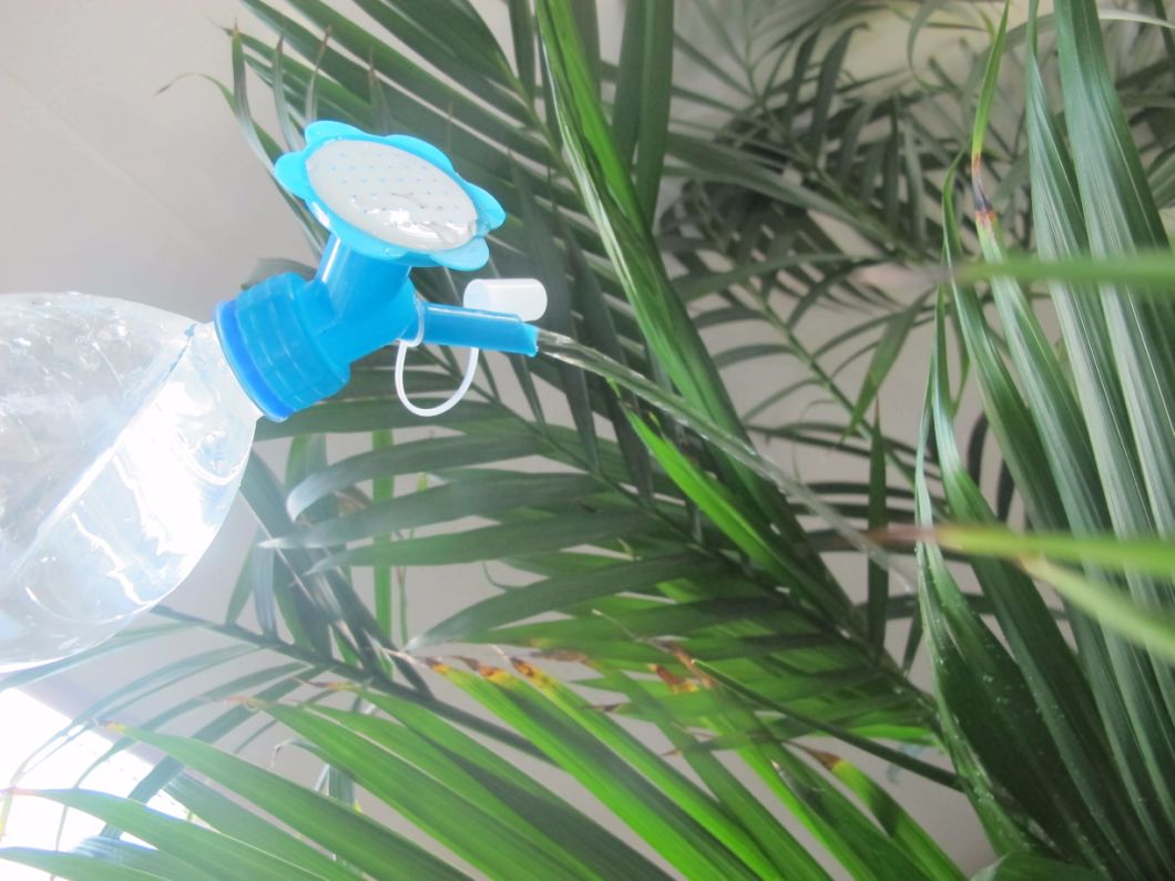 Luqiao Qiyong to and Fro Sprayer for Agriculture /Home/Garden (TF-504/TF-504-1)