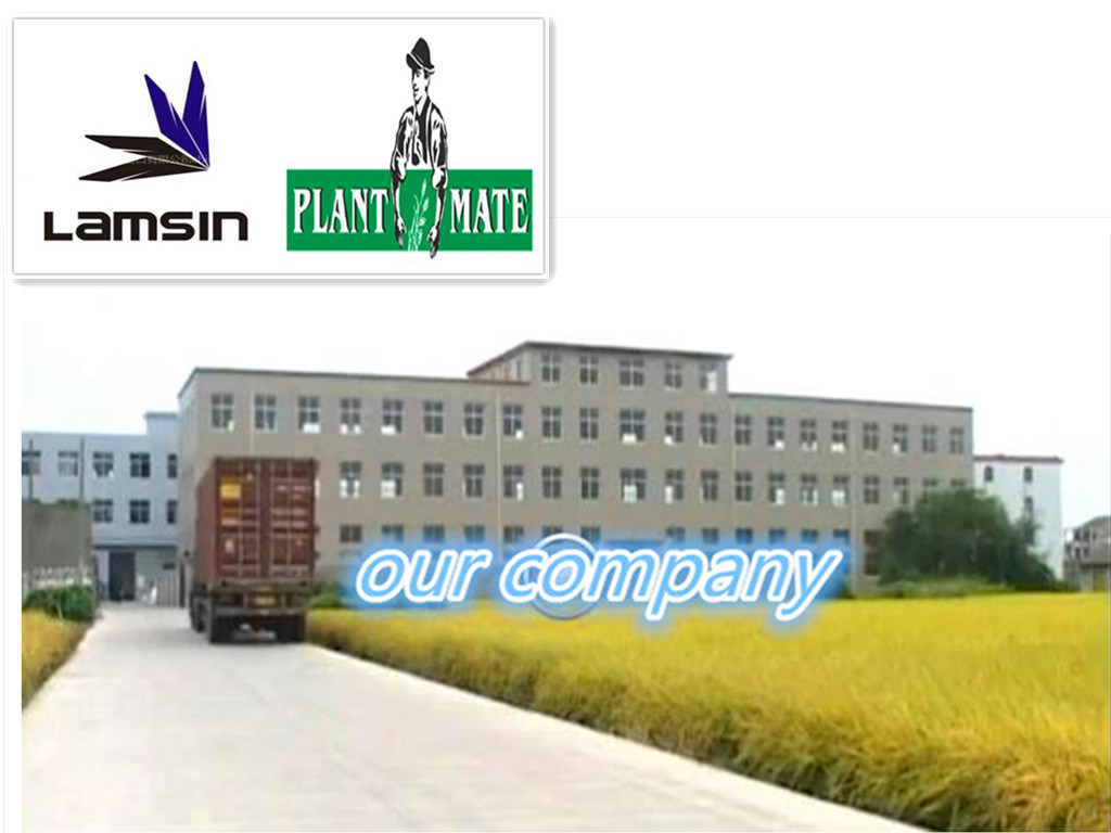 18L Agricultural Electric Knapsack Sprayer with ISO9001/Ce (LS-18V)