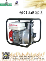 Agricultural/Industrial Water Pump with ISO9001 (WP-30)