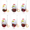 Knapsack Power Sprayer /Mist-Duster Backpack Power Sprayer (TF-808)
