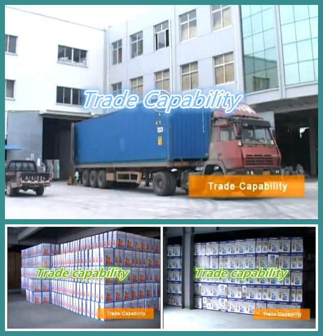 3L Agricultural Air Pressure Sprayer with ISO9001/Ce/CCC (TF-03A)