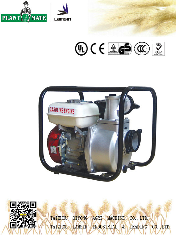 Agricultural/Industrial Water Pump with ISO9001 (WP-30)