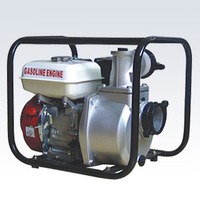 Gasoline Power Sprayer/Gas Engine Water Pump (WP-30)