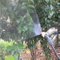 2 in 1 Knapsack Sprayer 16L for Agriculture/Garden/Home (HX-D16C)