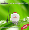 Knapsack Sprayer/Hand Sprayer (435)
