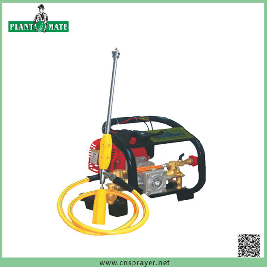 Agricultural Knapsack Power Sprayer with Pump (TF-P768)
