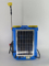 16 Liter Electric Solar Sprayer with Battery