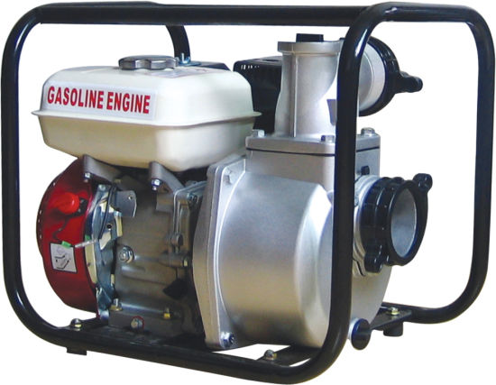 Agricultural/Industrial Water Pump with ISO9001 (WP-30)