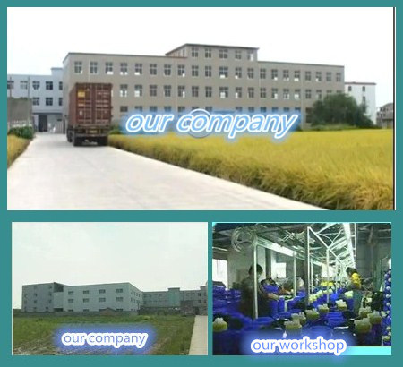 3L Agricultural Air Pressure Sprayer with ISO9001/Ce/CCC (TF-03A)