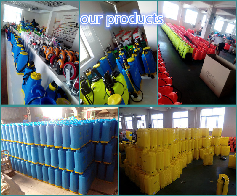 Knapsack Sprayer/Hand Sprayer (3WBS-12B)